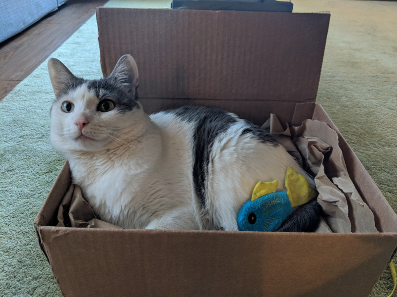 Box with packing paper. Verdict: 7/10